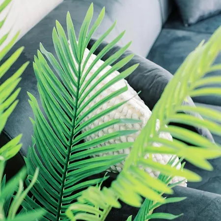 Апартаменты 2br Amalfi Blue In - Pool & 10min Walk To Mackenzie Beach!