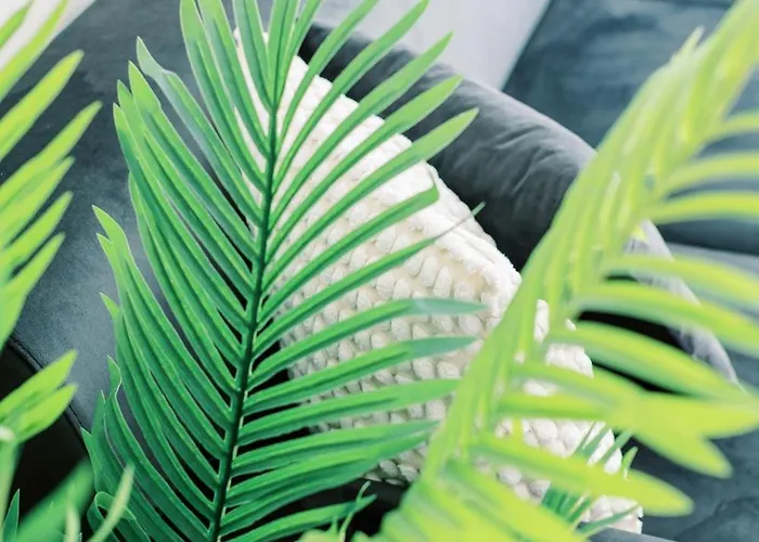 Apartment 2br Amalfi Blue In - Pool & 10min Walk To Mackenzie Beach!